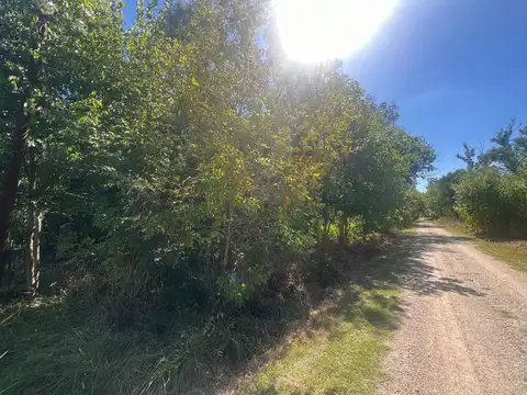 Terreno en Venta en Coronel Brandsen, Partido de Brandsen