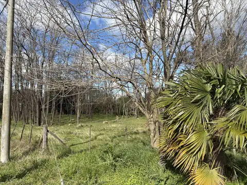 Terreno en Venta de 2586,0 m2
