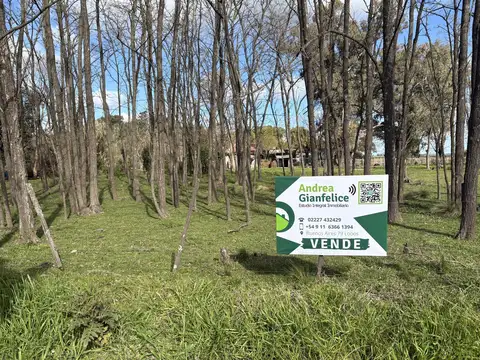 Terreno en Elviara, con estratégica ubicación sobre la calle principal