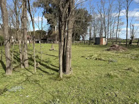 Terreno en Venta 50  mts Frente