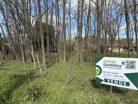 Calle 3 y 15, Elvira