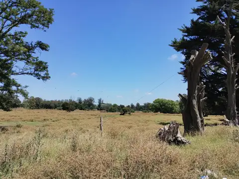 Terreno en Venta en Mar del Plata, Partido de General Pueyrredón