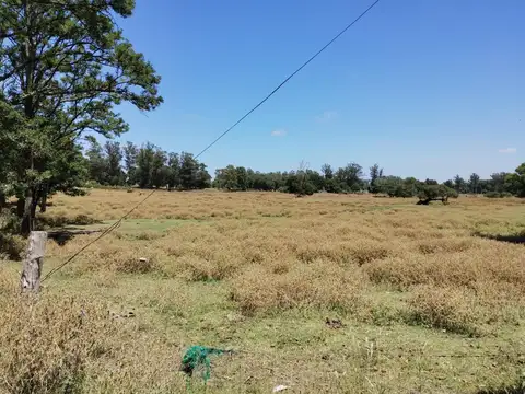 Terreno en Venta 119  mts Frente