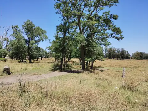 Juan Calchaquí 6500