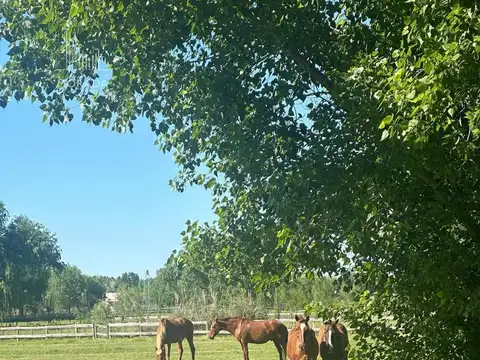 Terreno en Venta en El Malacate, USD 68.000