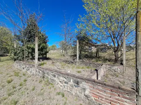 Alvarez Thomas 100