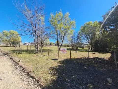 Alvarez Thomas 100