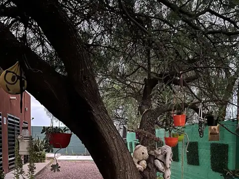 Camino las Cortaderas 100