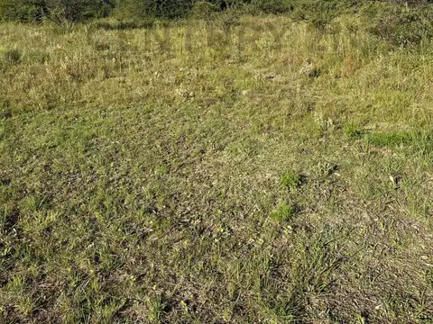 Venta terreno 1053 m2 en Los Espinillos
