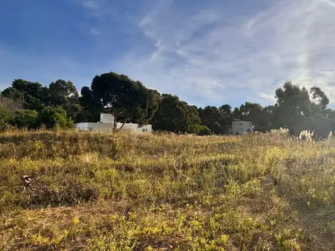 Terreno en Venta de 802,0 m2