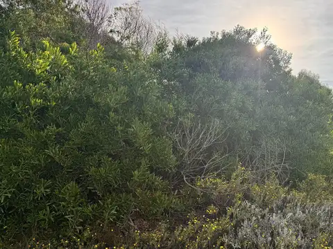 Terreno en Venta en Barrio Cerrado Costa Esmeralda, USD 74.000
