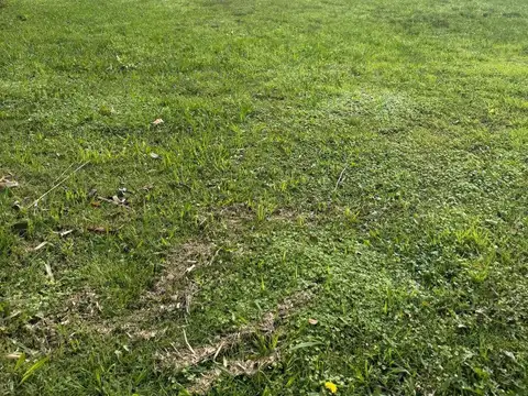 Terreno en Venta en San Matias, USD 75.000