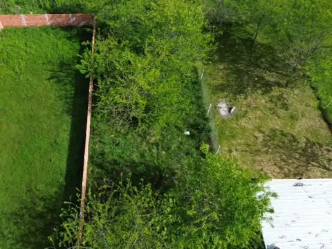 Calle 409 y calle 141