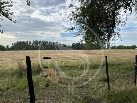 Ruta 192 Km 15