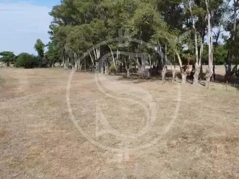 CAMPO APTO LOTEO RUTA 192 TORRES LUJAN