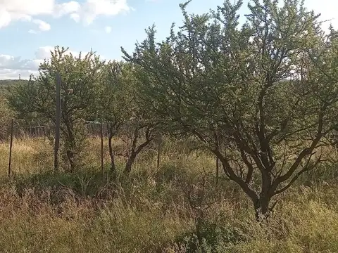 Terreno en Venta en Capilla del Monte, USD 9.500