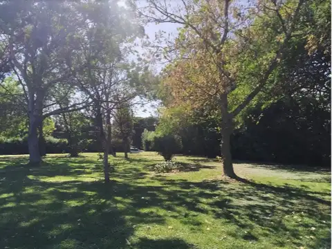 Venta 2 lotes contiguos en Ignacio Correas 