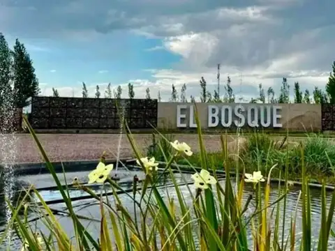 Venta Lote 600m2 Central B El Bosque