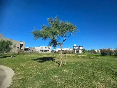Terreno en Venta en Pilar Del Este, USD 29.000