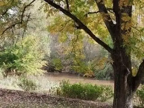 Isla Privada de 28 Ha con Casi 1 km de Costa – Venta Total o por Fracciones Ideal Desarrollo o Inver