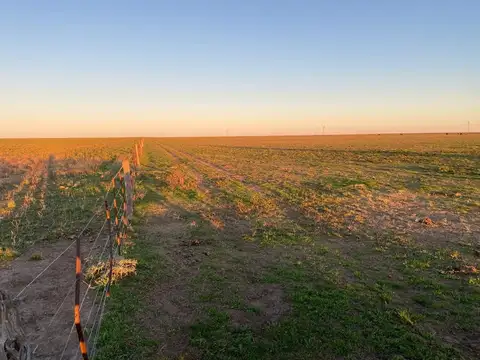 Camino la carrindanga pasando cementerio 5 kms