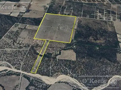 Venta de 44 has de excelentes Nogales  Cortaderas, San Luis