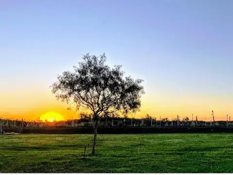 Venta Lote San Sebastian Area 10