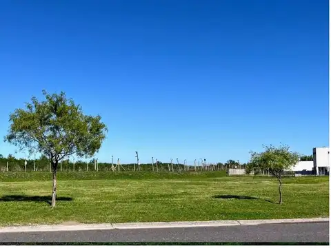 San Sebastian Area 10