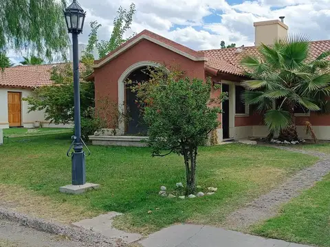 Juan Jose Paso al 50