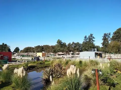 Terreno en Venta de 300,0 m2