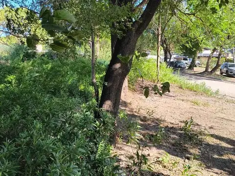 VENTA TERRENO ZONA CONVENTO SAN ALFONSO V ALLENDE