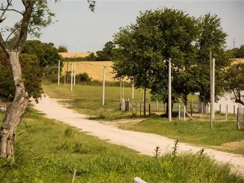 Alvear E.R.