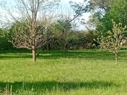 Zona de Quintas Quinta 229 200