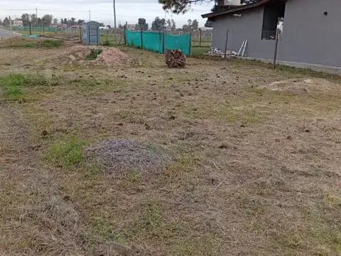 Domingo Nazarre 4400