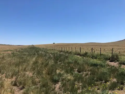 6664 HA. CAMPO GANADERO S/ RUTA. APTO PROYECTO ENERGÍA EÓLICA