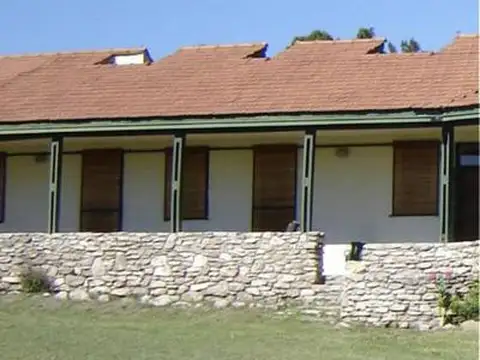 Campo aptitud ganadera. Puán. Provincia de Buenos Aires