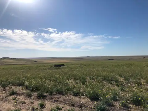 6664 HA. CAMPO GANADERO S/ RUTA. APTO PROYECTO ENERGÍA EÓLICA