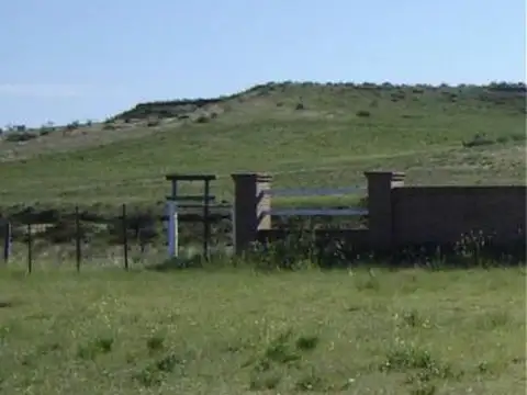 6664 HA. CAMPO GANADERO S/ RUTA. APTO PROYECTO ENERGÍA EÓLICA