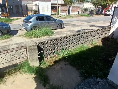 Cacique Coliqueo 500