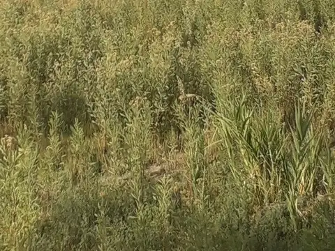 VENDO TERRENO INMACULADO EN CRUCE RUTA 160 Y 165 SAN RAFAEL