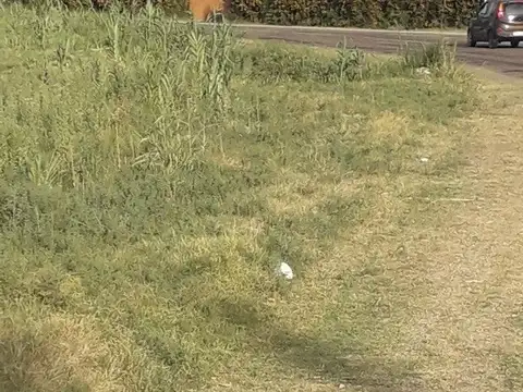 VENDO TERRENO INMACULADO EN CRUCE RUTA 160 Y 165 SAN RAFAEL