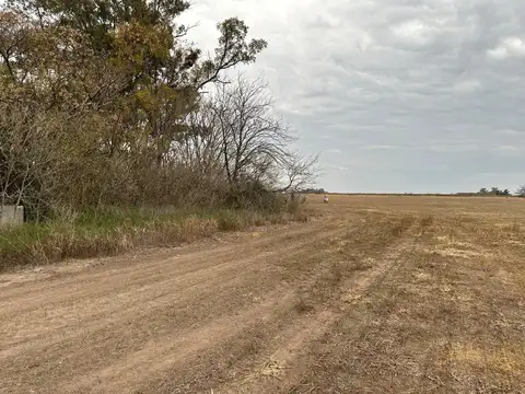 CAMPO de 27,2 hectareas en La Luisa - cerca Capital Sarmiento y Arrecifes