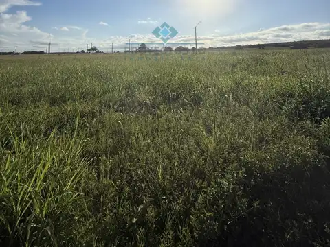 VENTA – LOTES EN SOLARES DEL CAMINO REAL - SINSACATE