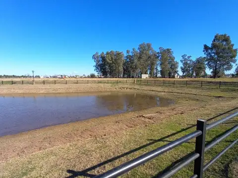 Terreno en Venta de 1042,0 m2