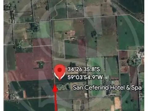 CAMPO 6 HECTAREAS ETCHEGOYEN A METROS RUTA 6