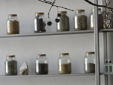 Venta - Local / Espacio Profesional con gran salón, patio y cafetería en Tigre - Amplio y luminoso