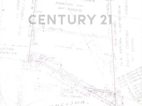 CALLEJÓN PELLEGRINA Y ACCESO ESTE 100, Piso 0