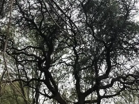 Terreno en Venta de 31775,0 m2