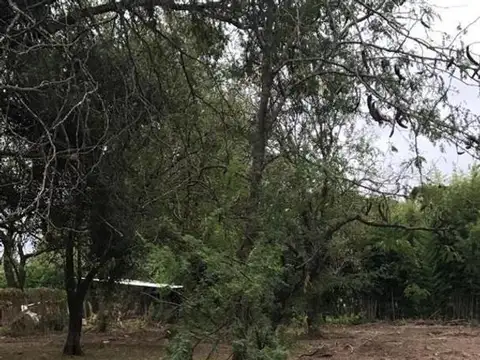 Terreno en Venta de 31775,0 m2