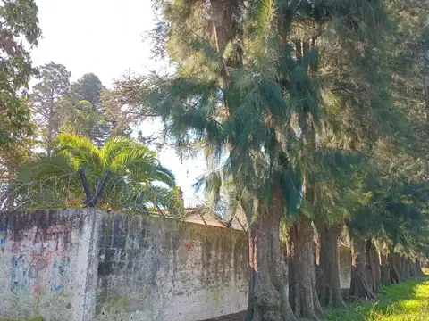 Terreno en Venta de 602,0 m2